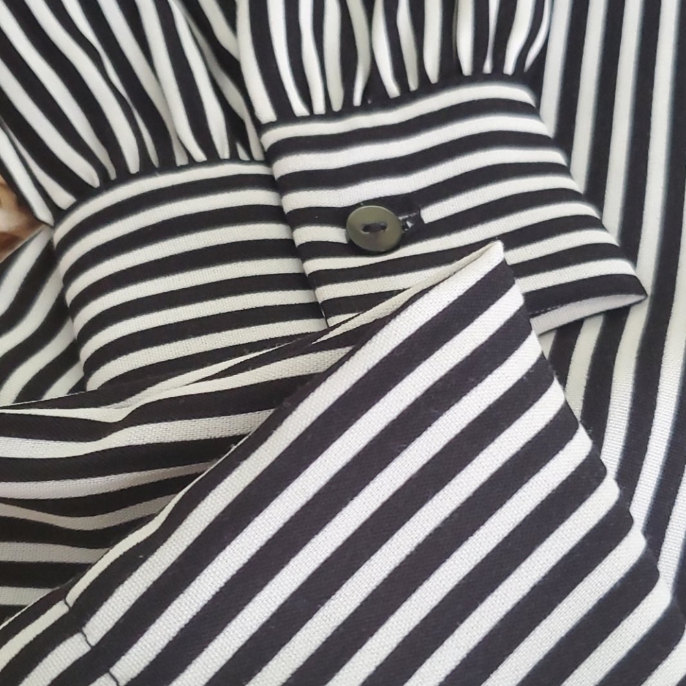 🦓 - Picture 3 of 4